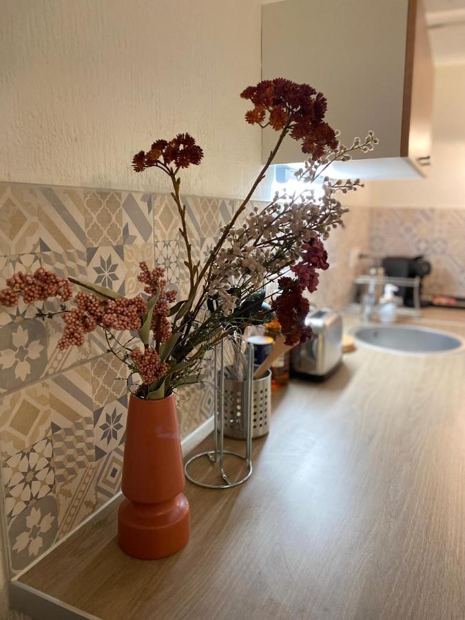 Les Cosy De Nancy - Le Duplex Vintage 4* Apartamento Exterior foto